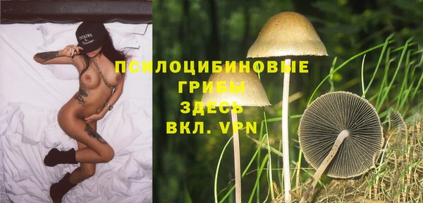 apvp Бронницы