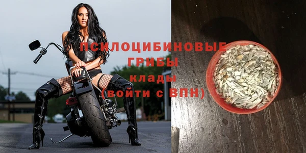 apvp Бронницы