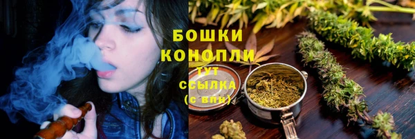 мескалин Богородицк