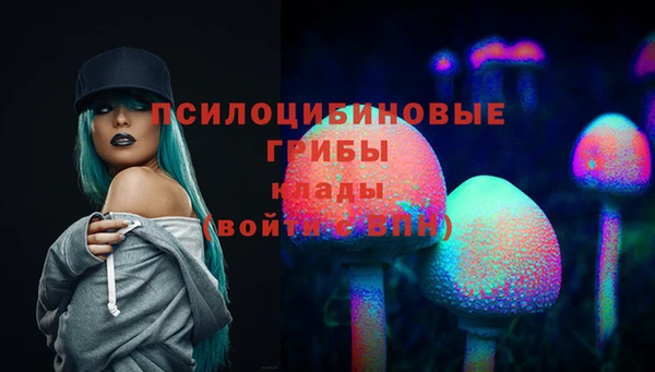 а пвп мука Медвежьегорск