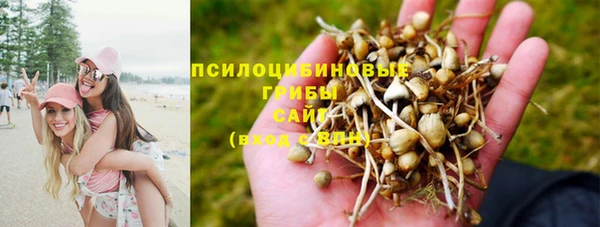 прущая мука Бородино