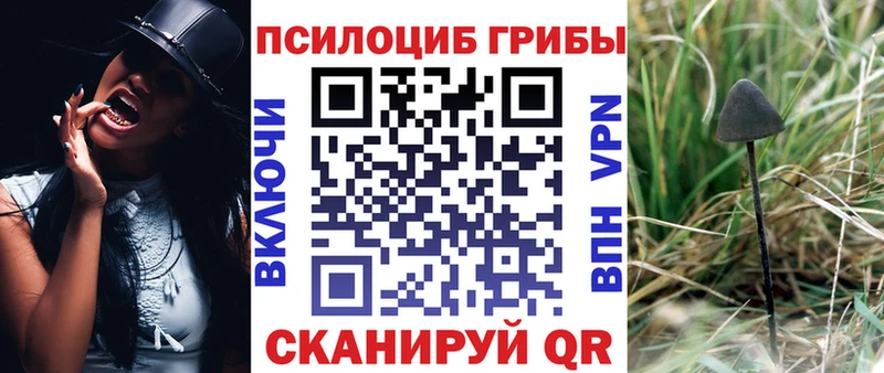 Псилоцибиновые грибы GOLDEN TEACHER  Северск 