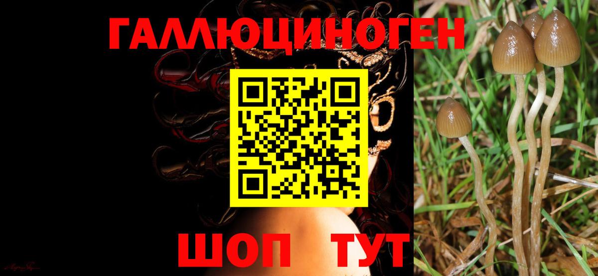 Галлюциногенные грибы ЛСД  закладка  Северск  Вход с VPN 