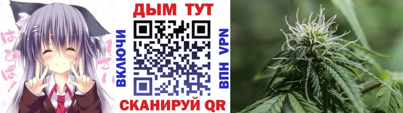 Канабис индика Северск