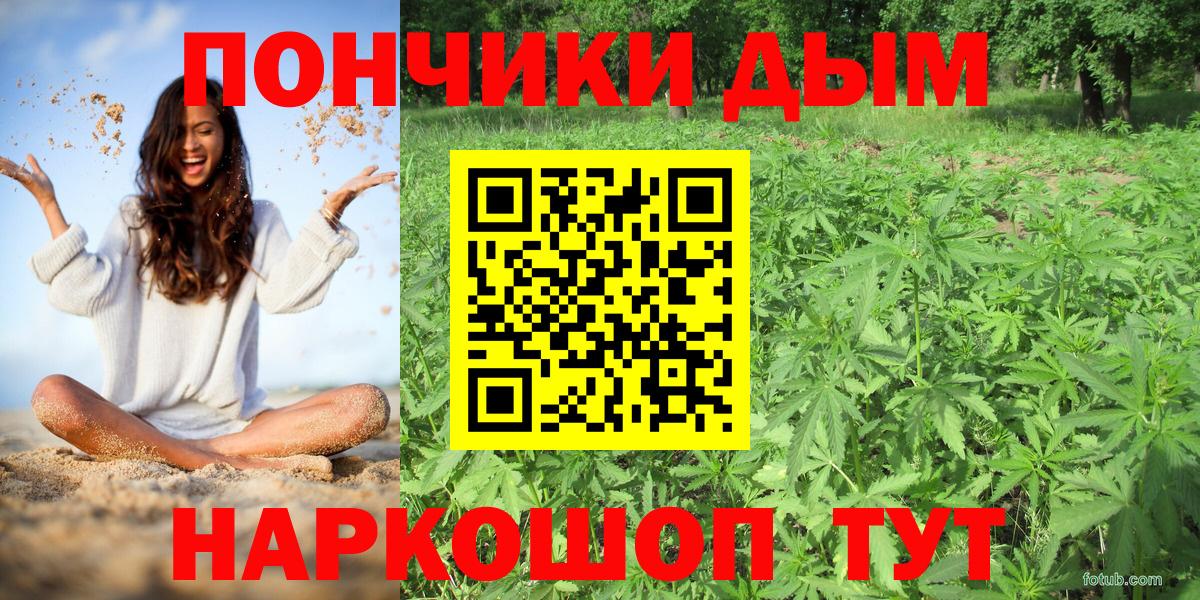 Шишки марихуана планчик  Бошки Шишки семена  Северск  Вход с VPN  Конопля семена  Марихуана тримм 